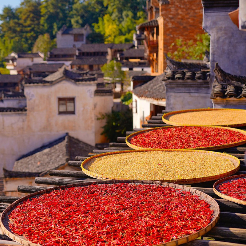 『8人精致5星小团』江西旅游景德镇婺源望仙谷三清山4天3晚跟团
