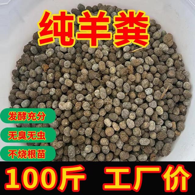 10-100Jin [Jin equals 0.5 kg] Sheep manure fermentation organic fertilizer pot plant fertilizer vegetable fertilizer flower general vegetable farm pure sheep manure egg
