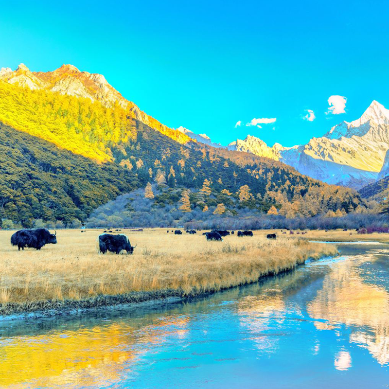 2-8人小团 成都到川西6天5晚稻城亚丁旅游四姑娘山鱼子西跟团游