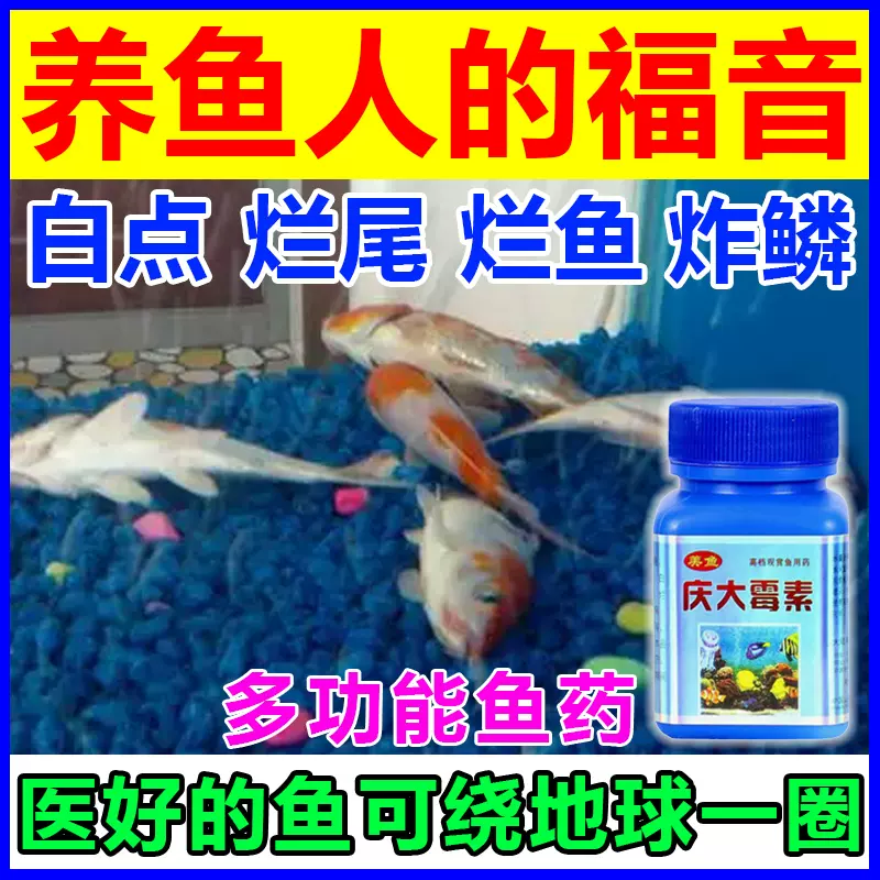 慶大黴素魚用錦鯉金魚爛肉爛尾爛鰭炸鱗充血治療魚缸水族專用魚藥 Taobao