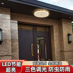 Ceiling Light at the Entrance, Villa Eaves Light, Entrance Light, Outdoor Balcony Waterproof and Insect-Proof Outdoor Ceiling Light