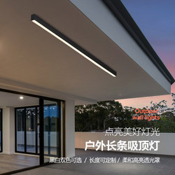 Balcony Light, Ceiling Light, Special Light for Sunroom, Surface-Mounted Strip Light, Long Strip Corridor Ceiling Light, Outdoor Waterproof Lighting