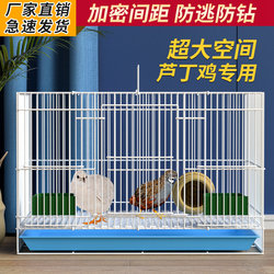 Specialized Cage for Quail, Ornamental Cage, Breeding Box, Chick Rearing, Home Farming, Small Chicken Cage, Reinforced Quail Cage, Small Yellow Duck Cage