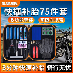 Paulde Prodc Motorcycle Tire Repair Tool Set, Convenient for Motorcycle Travel and Riding, Professional and Fast Mushroom Nail Kit