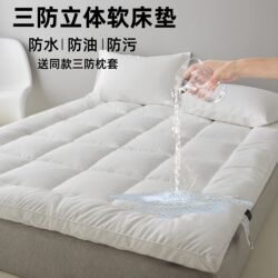 Five-Star Hotel Waterproof Mattress Soft Pad for Home Bedroom Soft Mattress Tatami Mat Single and Double Student Dormitory