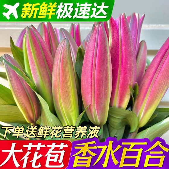 
Yunnan Kunming base fresh-cut perfume lily flowers for home and office hydroponic real flowers mixed with large buds and strong fragrance bouquets