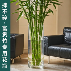 Special Vase for Lucky Bamboo, Transparent, Large, Extra-Large, Floor-Standing, Height 40-50cm, Large Diameter, Plastic, Imitation Acrylic