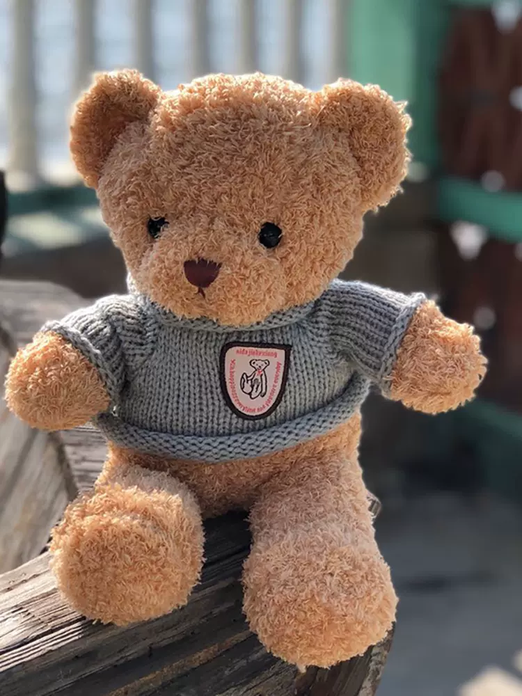 儿童礼物毛绒抱抱熊布娃娃可爱小熊熊公仔女生玩偶生日抱抱熊