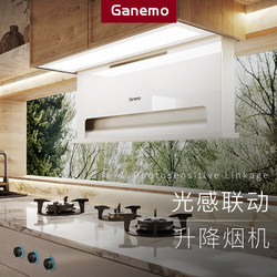 Gernimu Hidden Automatic Lifting Range Hood with Variable Frequency, High Suction Power, Top and Side Dual Suction Range Hood for Home Kitchen