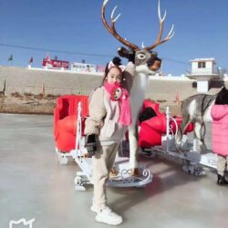 Outdoor Ice and Snow Amusement Equipment, Simulated Deer-Sled Riding, Horse-Sled Riding, Dog-Sled Riding, and Other Indoor and Outdoor Equipment
