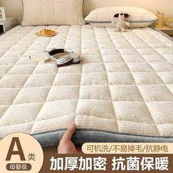Winter Thickened Milk Velvet Mattress Pad Single-Person Fleece-Lined Warm Non-Slip Mat Coral Fleece Blanket Bed Sheet Soft Pad