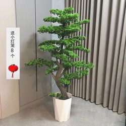 Artificial Green Plant Potted Tree Welcoming Pine Courtyard Entrance Decoration Large Plant Indoor Living Room Fake Tree Decoration Money Tree