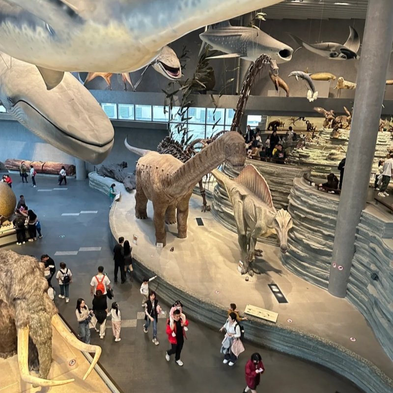 渤海明珠天津+瓷房子+自然博物馆+津门故里+平津纪念2日游