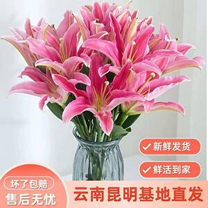 
Lily Yunnan Kunming lily carnation sunflower water-grown flowers bouquet straight hair Yunnan rose platycodon