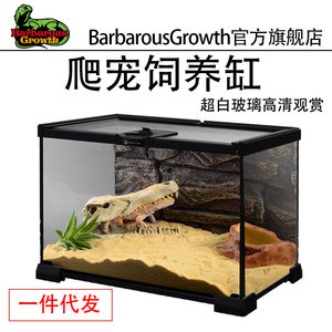 Crawling pet glass tank can stack lizards, palace guards, beetles, spiders, rainforest landscaping, breeding tank, viewing tank