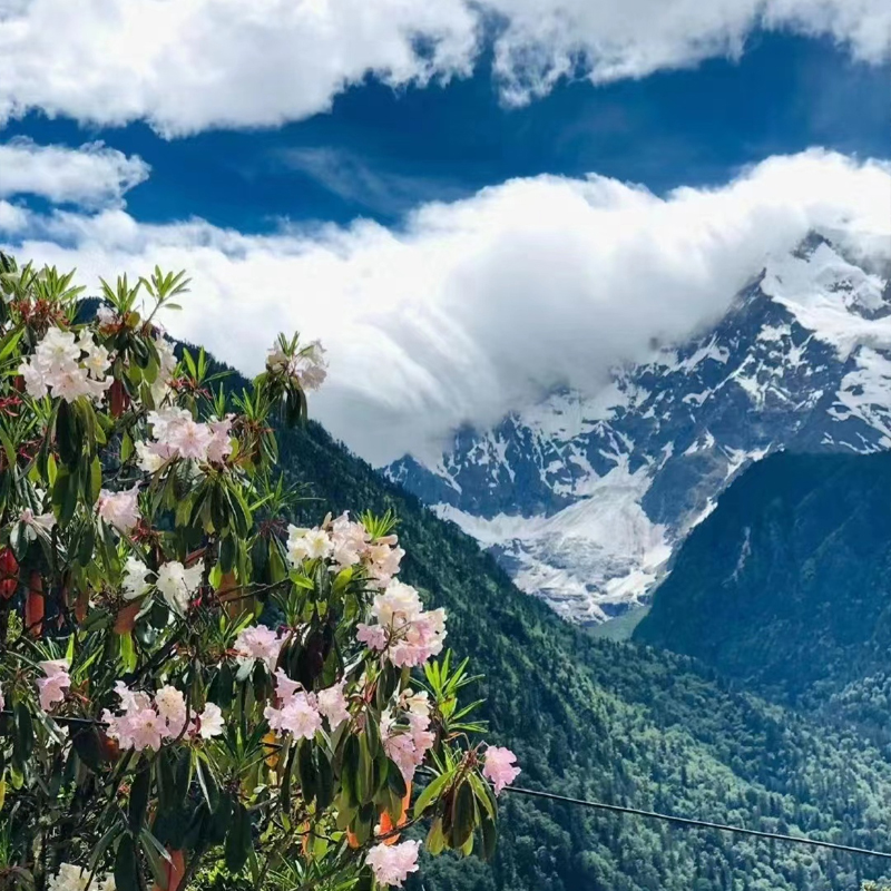 玉溪汽车出发云南香格里拉9日自由行可选酒店搭美食泡温泉电影票