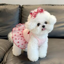 Pet Dog Clothes Summer Thin Style Anti-Shedding Breathable Cat Summer Outfit Bichon Short-Sleeve Dress 2026 New Model