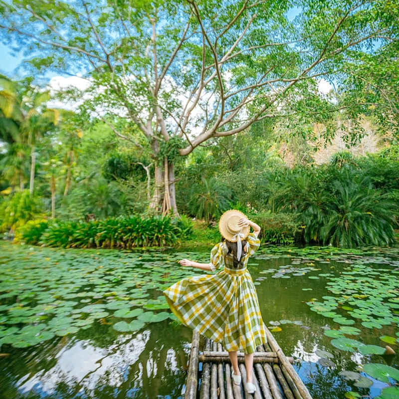 西双版纳5天4晚自由行专车游+野象谷森林公园中科植物园曼听公园