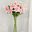 hoa giả de bàn thờ chúa 3-đầu tay-cảm giác Lily nhân tạo hoa giả hoa cao cấp trang trí phòng khách bàn ăn tủ Tivi trang trí hoa trang trí đám cưới bình hoa lựu giả hoa giả ban công Cây hoa trang trí