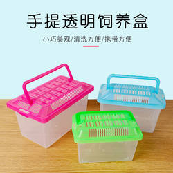 Transport Box for Small Turtles and Hamsters, Transparent Portable Cage, Viewing Box, Large, Medium, Small Sizes, Long-Haired Golden Hamster Portable Box