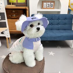 Dog Clothes, Summer Thin Sun Protection Clothing, Quick-Drying Mesh Breathable Vest, Teddy Bichon Small Size Dogs Pet Clothing