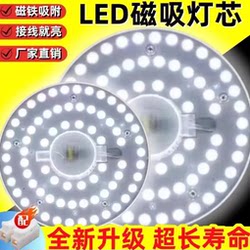 【Bargain】Led Replacement Light Bulbs, Universal Magnetic 220V Power Supply, Suitable for Living Room and Bedroom Lighting