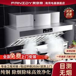 Vanade Commercial Kitchen Oil Fume Purifier All-In-One Machine for Catering and Restaurants, Low-Altitude Purification Suction Range Hood
