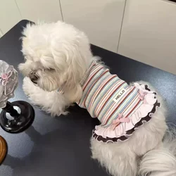 Striped Vest Dress for Small Dogs, Summer Pet Clothing, Cat Clothes, Knitted Dress for Teddy, Bichon, Yorkshire