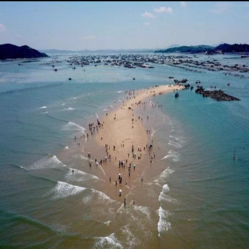 漳州旅游东山岛南门湾东山湾红树林苏峰山公路一日游