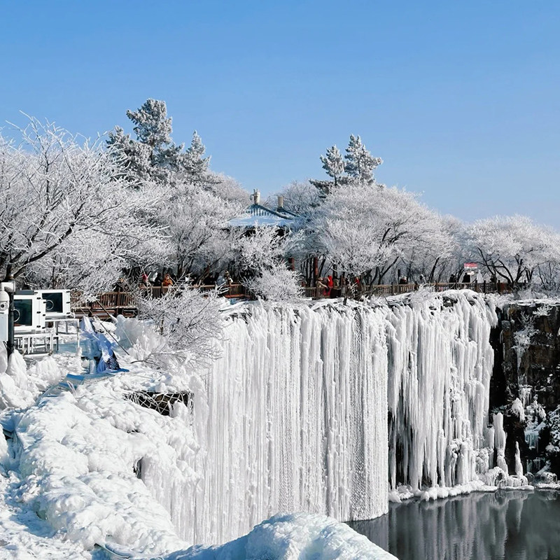 【深圳往返含机票】哈尔滨旅游跟团6天纯玩长白山雪乡延吉亚布力