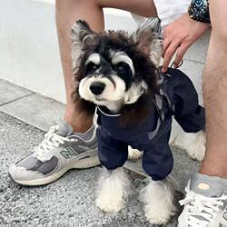 New Stylish Puppy Jacket, Handsome and Leashable, Super Cute Pet-Specific Outdoor Windproof Clothing, Windbreaker