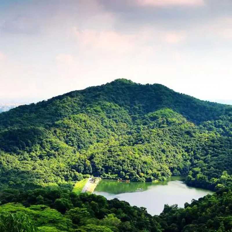 广州旅游3天2晚到广州深圳珠海三日游含门票午餐住宿游船票