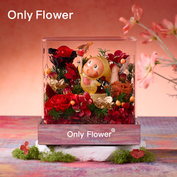 Star People Are Moved by the Eternal Flower Rose, a Gift for Wife's Birthday, Valentine's Day, or 520, to Give to Girlfriend