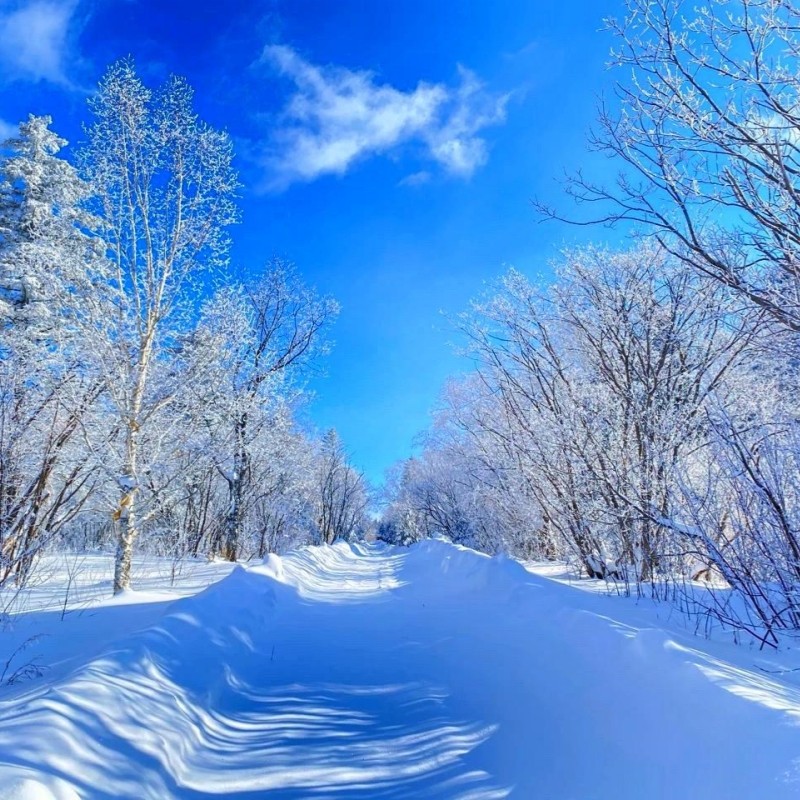 长白山雪岭/老里克湖+雾凇漂流一日游商务车2-6拼车二道延吉接送