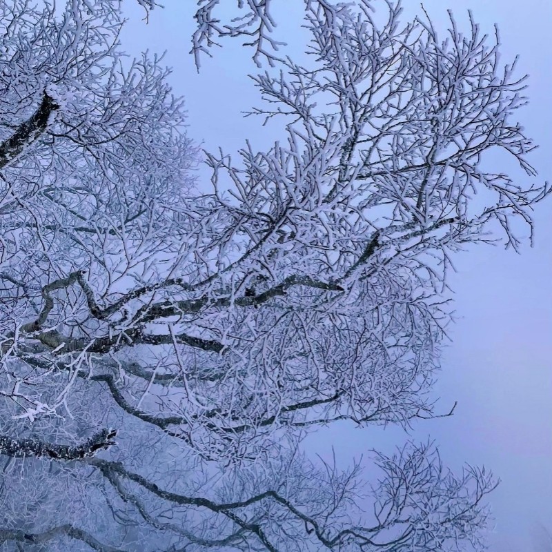 长白山雪岭/老里克湖+雾凇漂流一日游商务车2-6拼车二道延吉接送