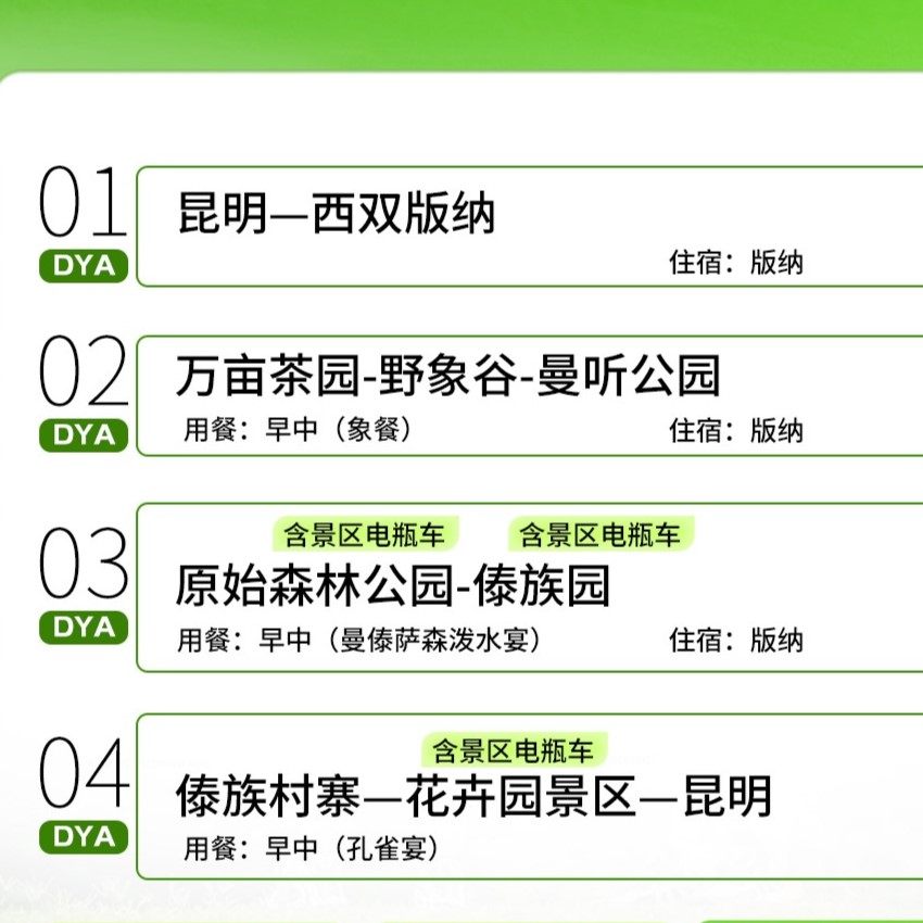 【省内动车往返】云南西双版纳4天3晚纯玩跟团游野象谷傣族园泼水