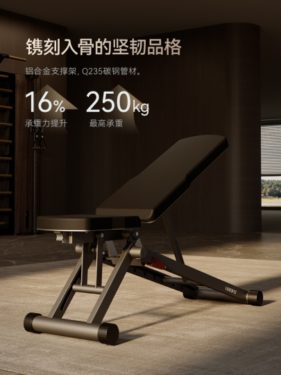 Xenjoy 多機能ダンベルベンチ - 調節可能なシットアップ＆フィットネス