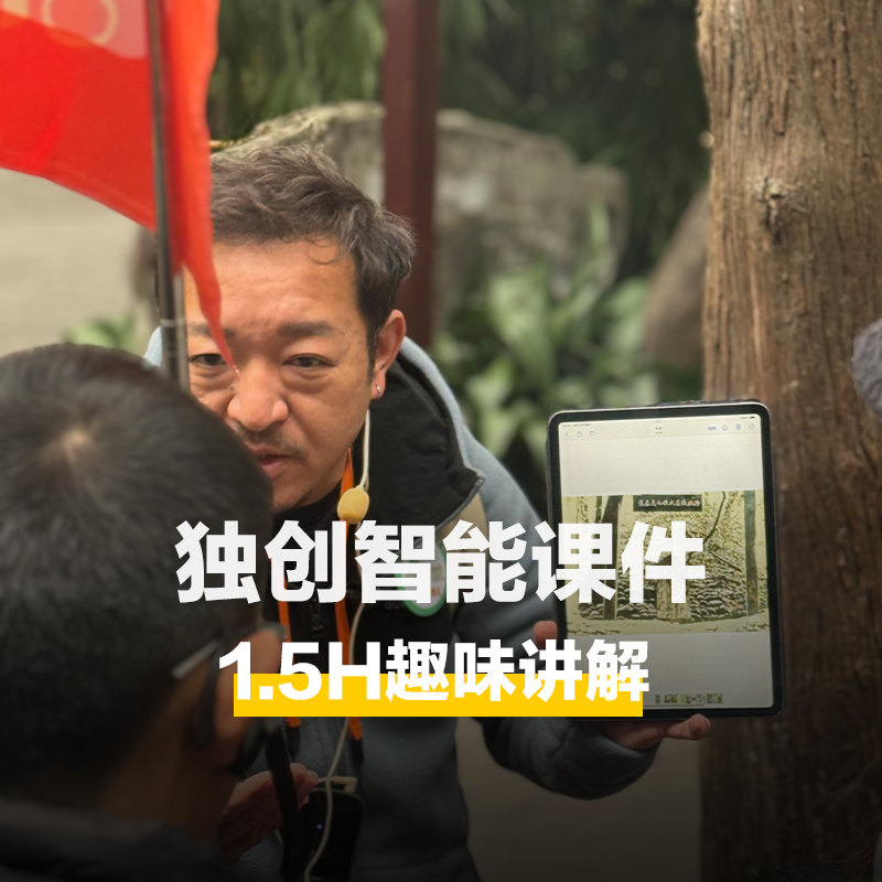 橄榄游 开封府讲解1.5H深度人工金牌导游讲解12人精品小团