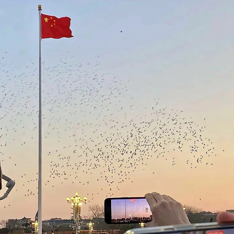 广州出发北京旅游5天跟团游北京天安门故宫颐和园天坛故宫博物院