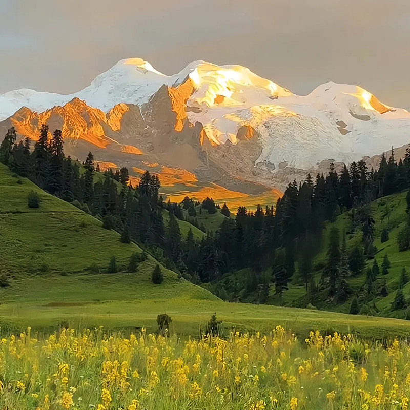 广州出发川西小环线不走寻常路四姑娘山惠远寺鱼子西纯玩跟团5日