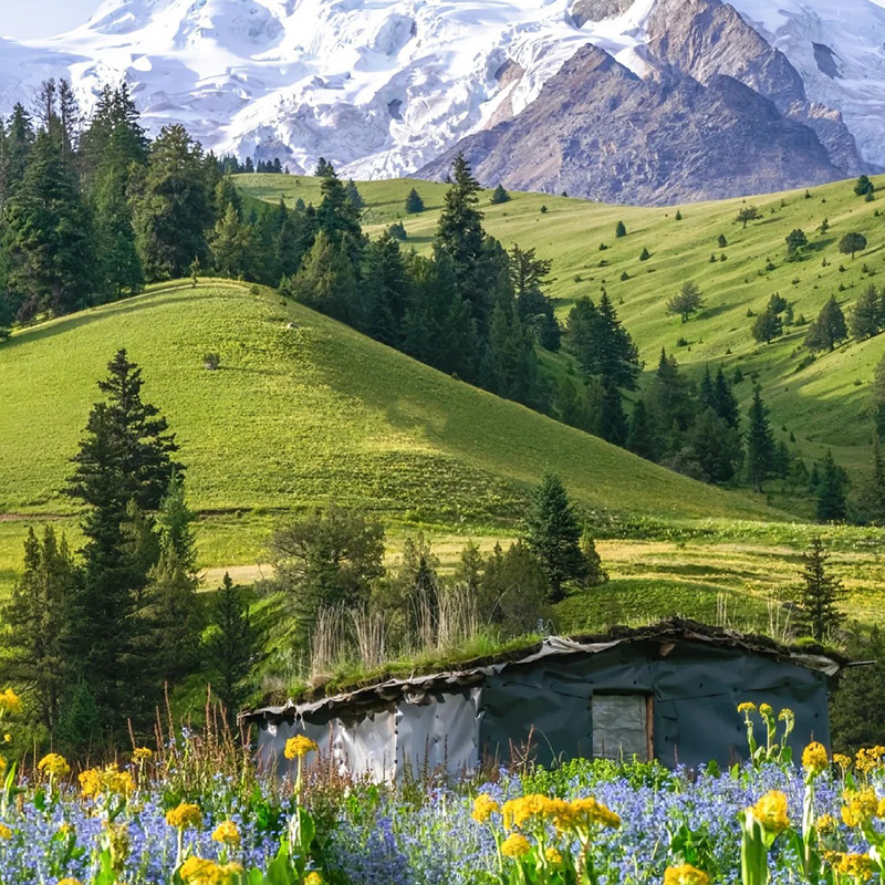 广州出发川西小环线不走寻常路四姑娘山惠远寺鱼子西纯玩跟团5日