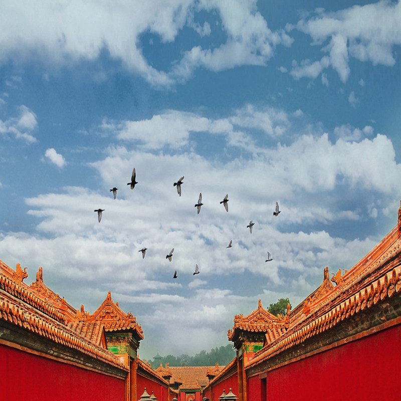 6天5晚北京半自由行故宫博物院天安门广场升旗仪式环球影城长城