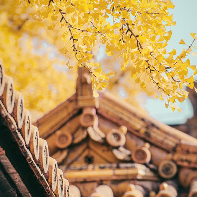 北京故宫博物院颐和园圆明园天坛天安门广场升旗仪式5天4晚跟团游