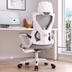 Computer Chair, Gaming Chair, Ergonomic Chair, Home Office Chair, Comfortable for Long Sitting, Dormitory Chair, Reclining Office Chair