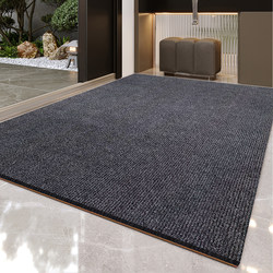 Entrance Door Floor Mat, Large Area Full Carpet, Shop Entrance Anti-Slip Mat, No-Wash, Stain-Resistant, Commercial Entrance Foot Mat