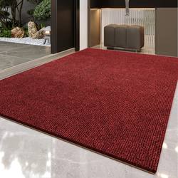 Entrance Door Floor Mat, Large Area Full Carpet, Shop Entrance Anti-Slip Mat, No-Wash, Stain-Resistant, Commercial Entrance Foot Mat