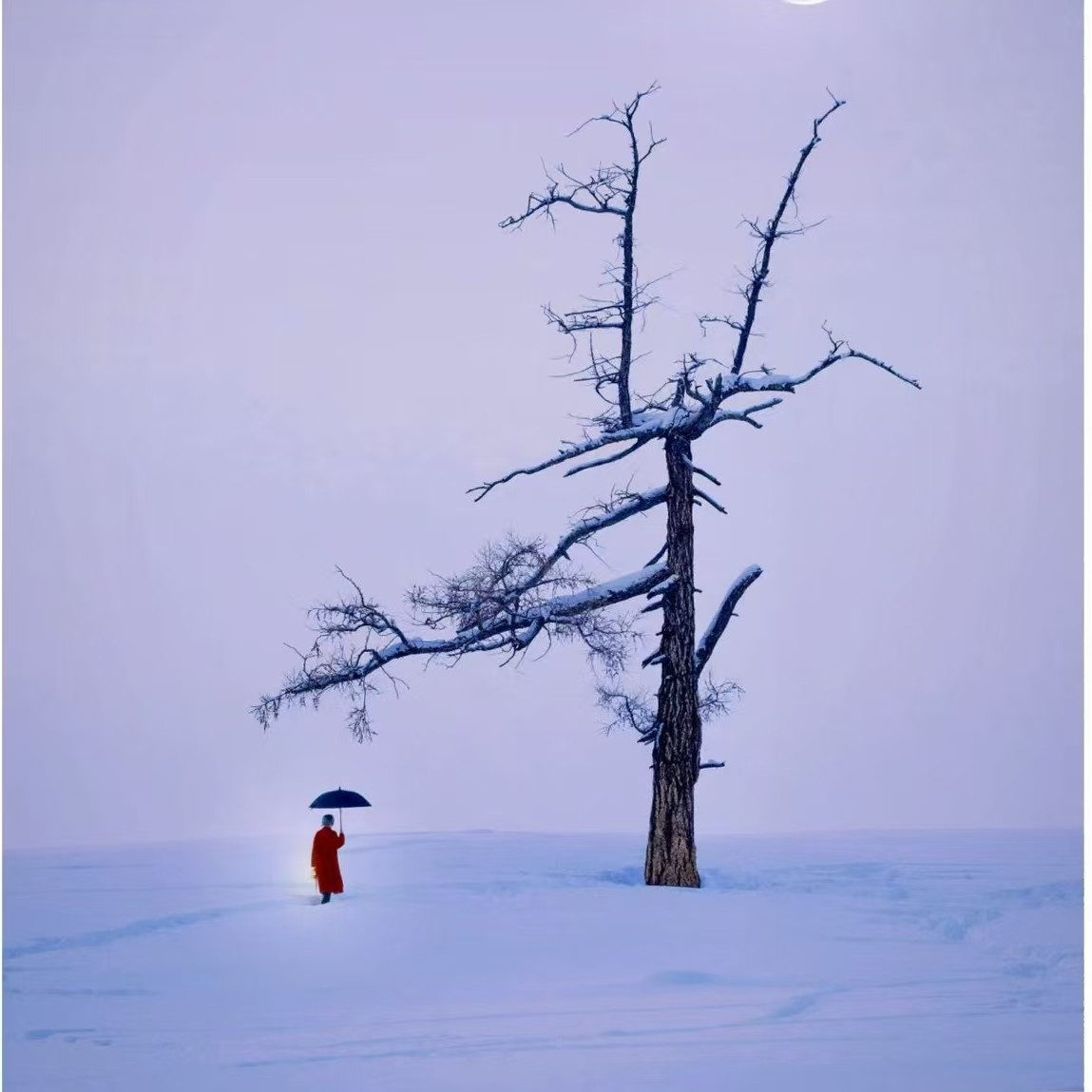 新疆阿勒泰旅游喀纳斯禾木白哈巴精品小团3日游晨观雾凇晚赏星空