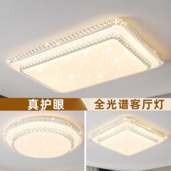 Zhongshan Lighting 2025 New Model Chandelier Living Room Lamp Simple Modern Elegant Led Ceiling Bedroom Living Room Main Light