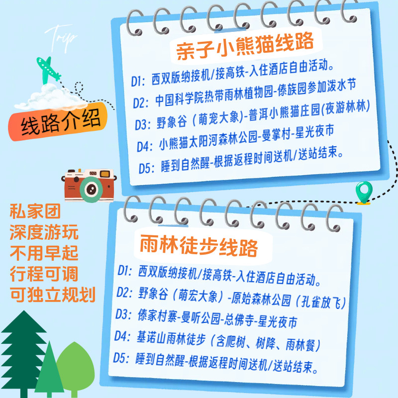 亲子小熊猫云南普洱西双版纳旅游5天4晚私家团当地纯玩夜游森林