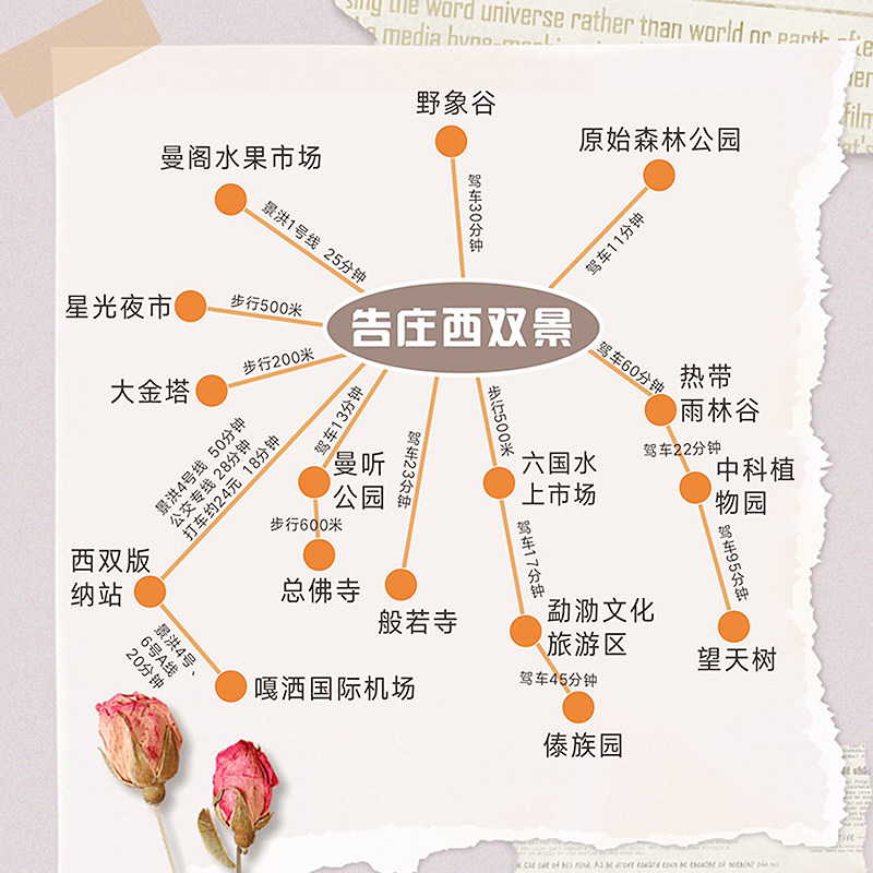 【豪华酒店纯玩】云南西双版纳旅游告庄大佛寺野象谷6天5晚跟团游